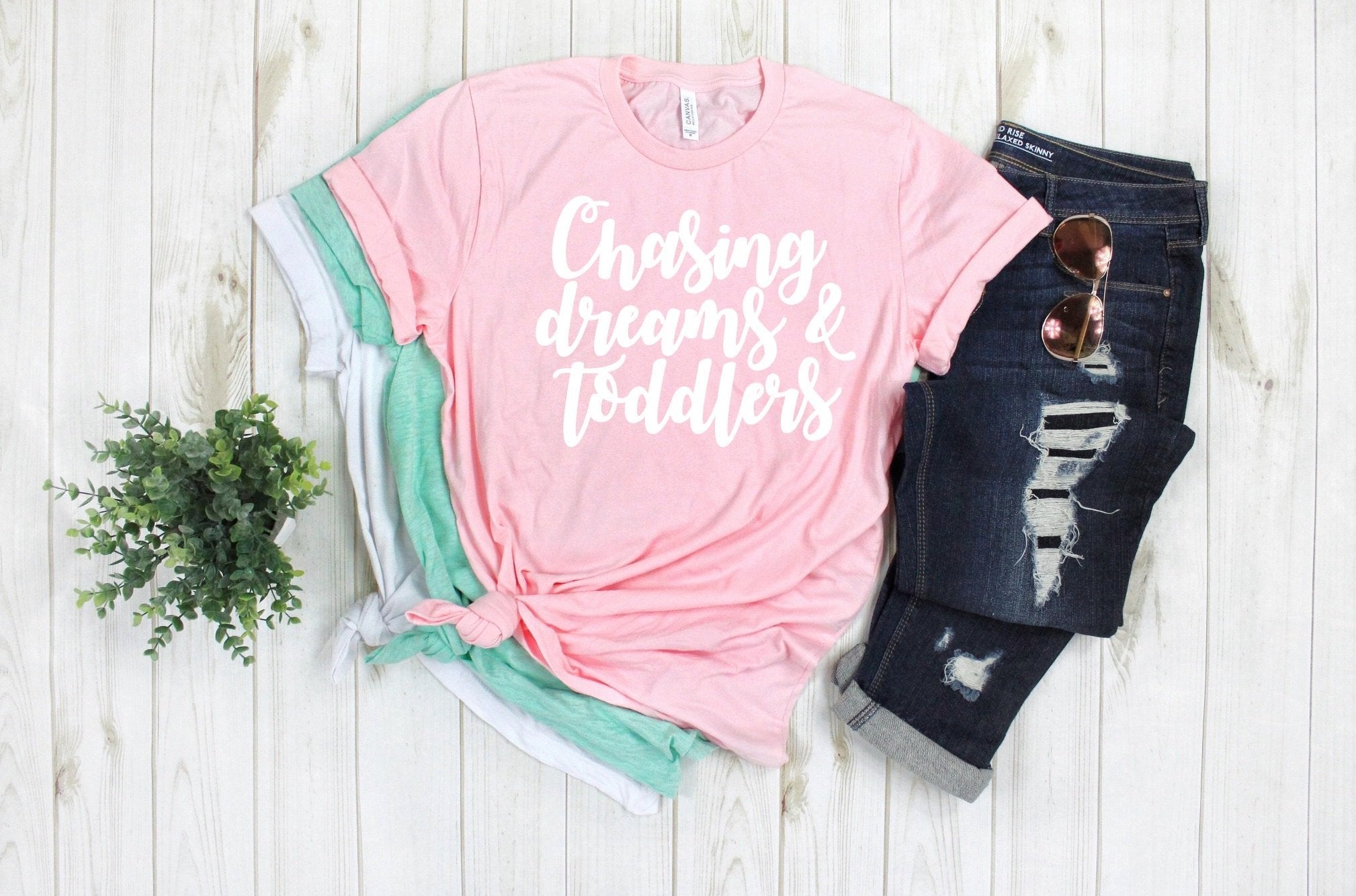 Chasing Dreams & Toddlers