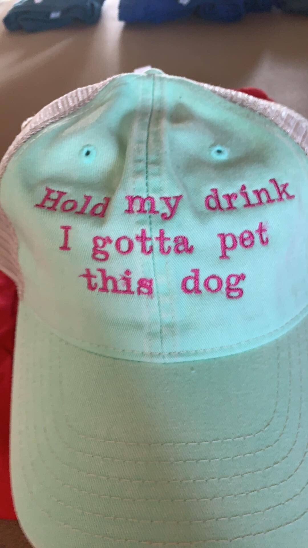 Hold My Drink Baseball Hat